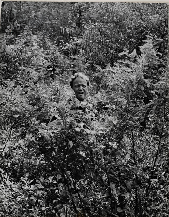 James Dickey, Columbia, South Carolina