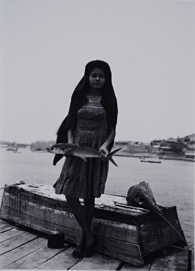 "...Un pex que llaman Sierra" ("...a fish called saw")