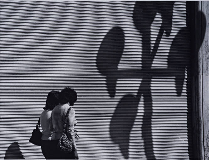 Dos mujeres y la gran cortina con sombras (two women, a large bird, and shadows)