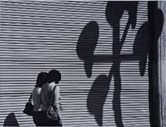 Dos mujeres y la gran cortina con sombras (two women, a large bird, and shadows)