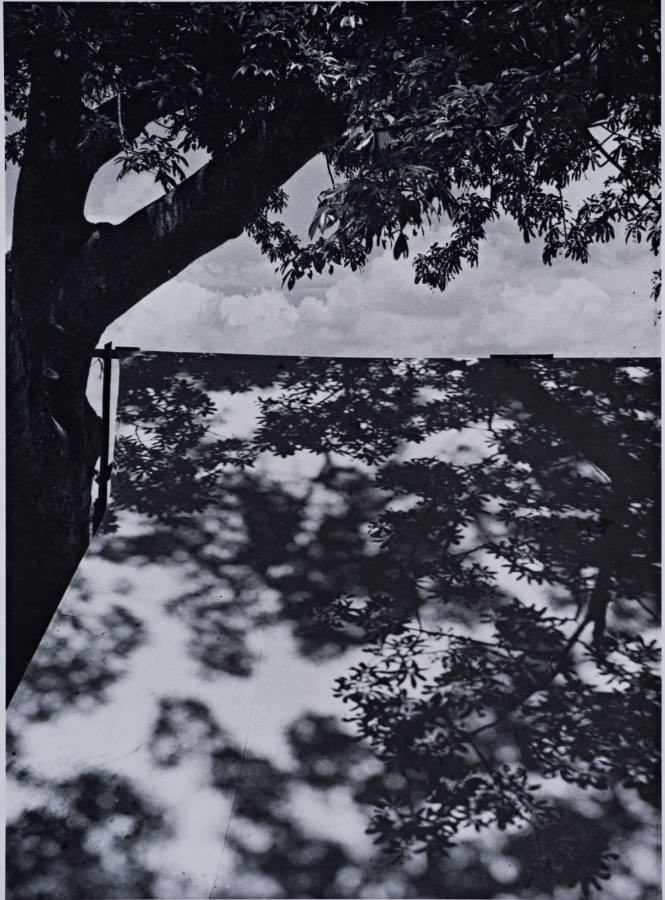 Luz restirada  (lengthened light)