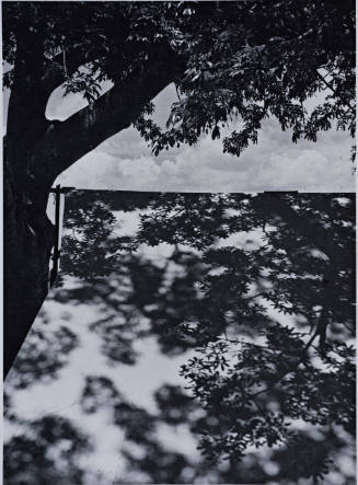 Luz restirada  (lengthened light)