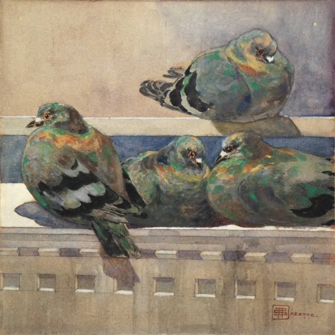 Baby Pigeons