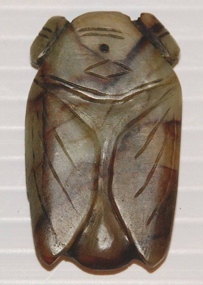 Brown jade cicada (in pupa stage) amulet
