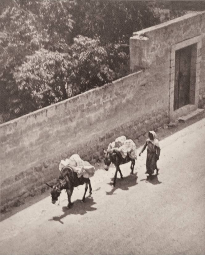 Noon at Nazareth