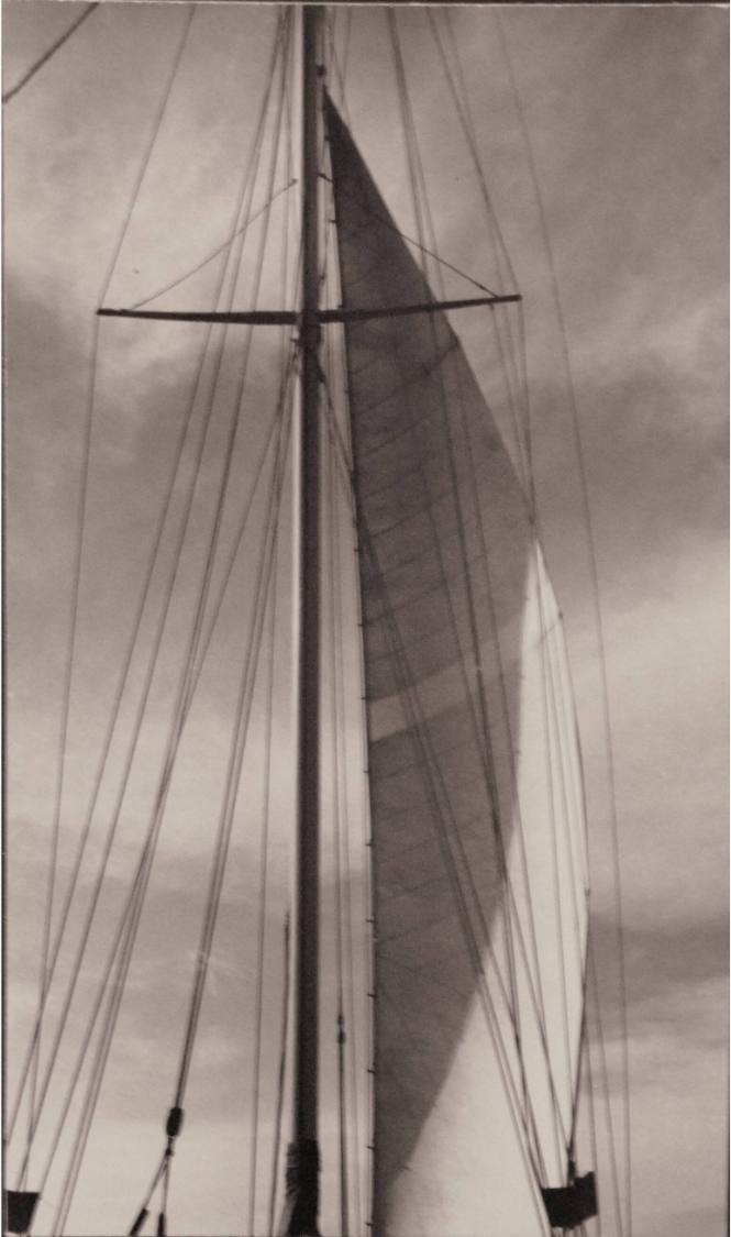 Nautical Abstract