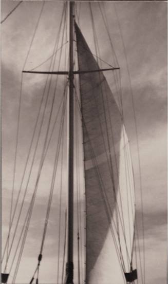 Nautical Abstract