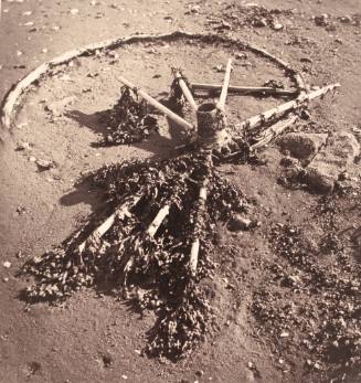 Death Cycle