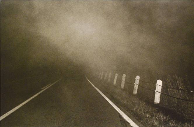 Fog at Night from a Moving Car