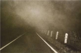 Fog at Night from a Moving Car