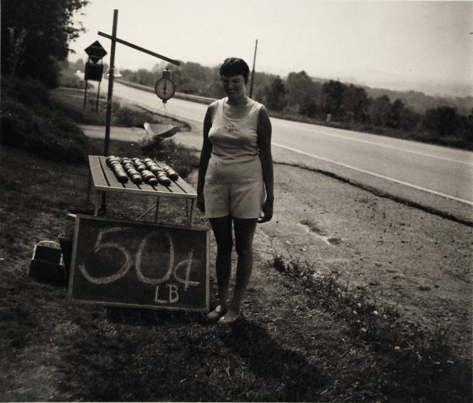 Roadside Stand (Millerton Portfolio)