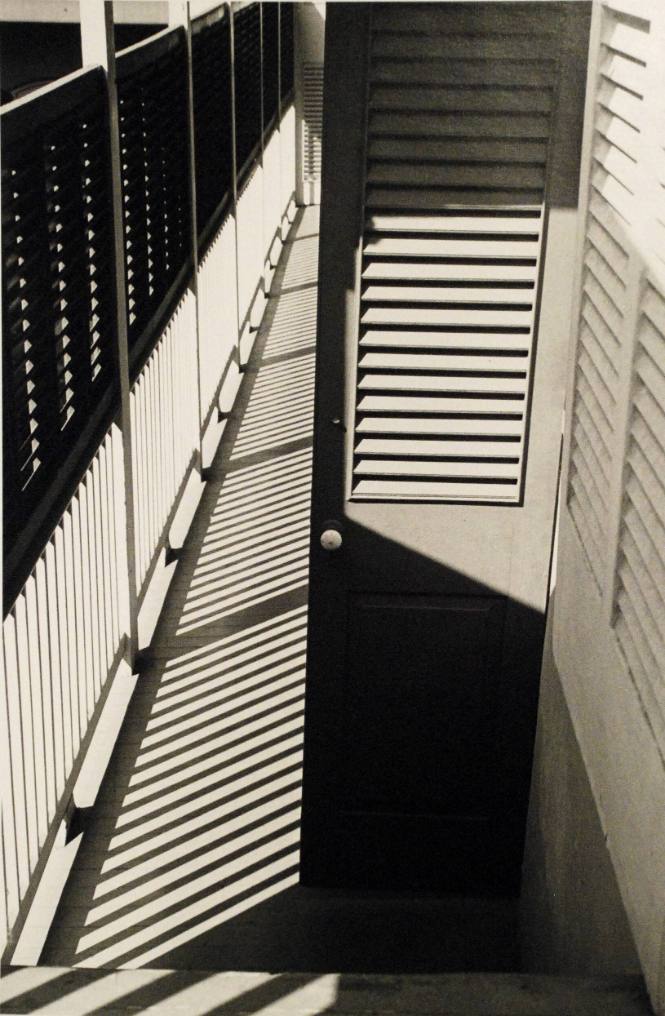 Shadowed Gallery, 533 Royal Street