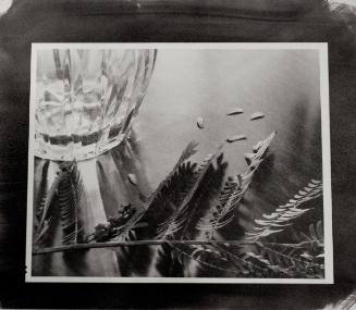 Vase II