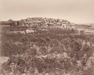 449. Jaffa, Pris des Jardins (Pales)