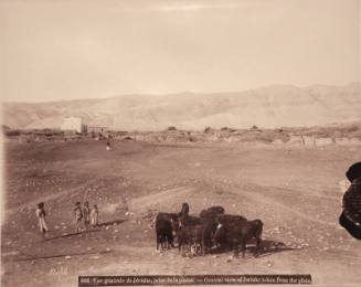 906. Vue General de Jericho, prid de la Plaine General View of Jericho Taken form the Plain