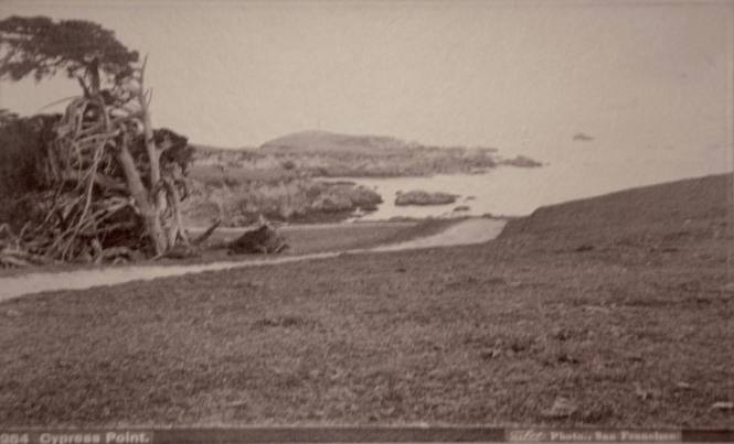 264. Cypress Point