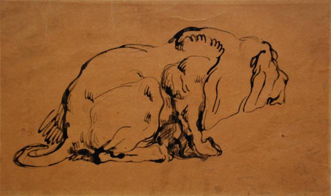 Crouching Lion