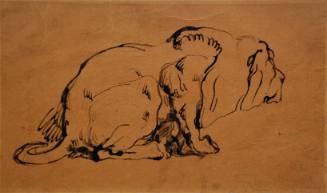 Crouching Lion