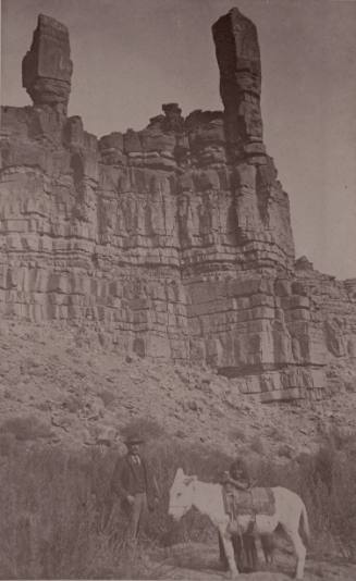 Burro with Indian and Man