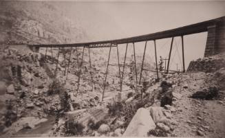 Bridge in Loop Near Georgetown