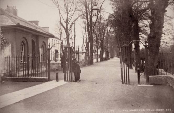 The Mardyke Walk, Cork