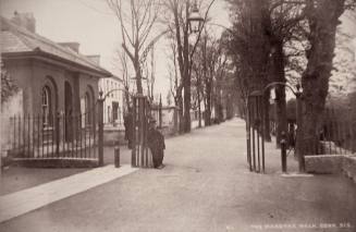 The Mardyke Walk, Cork