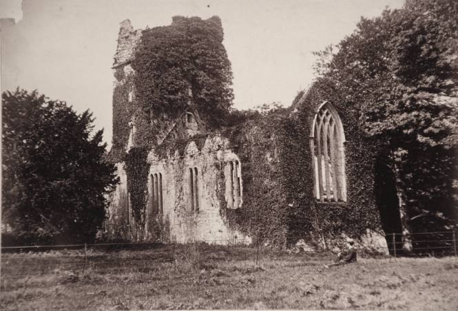 Muckross Abbey