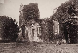 Muckross Abbey