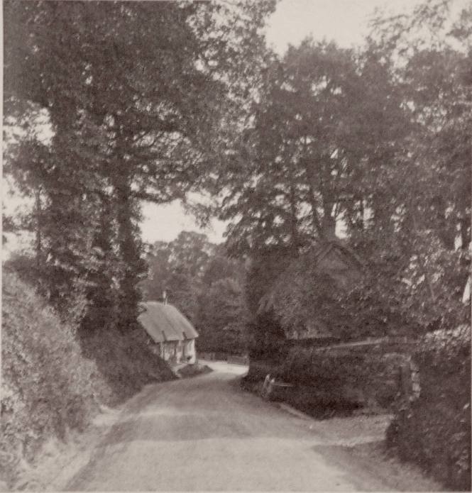Lane at Shorewell
