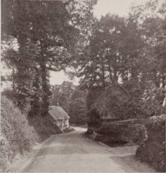Lane at Shorewell