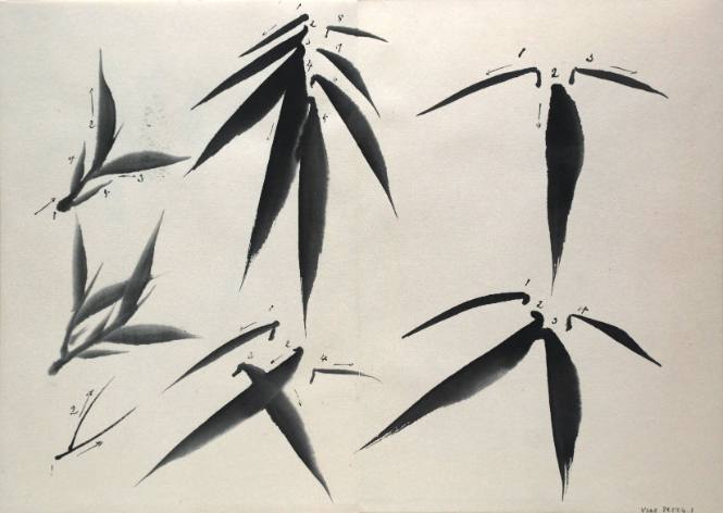 Palm Leaves