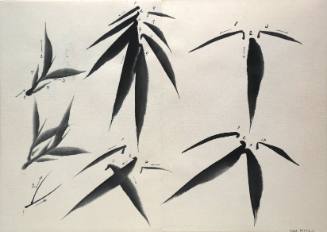 Palm Leaves