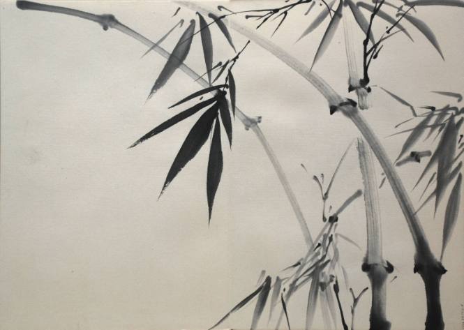 Bamboo and Leaves