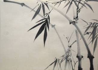 Bamboo and Leaves