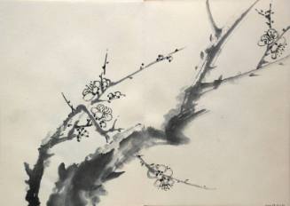 Dogwood Branch