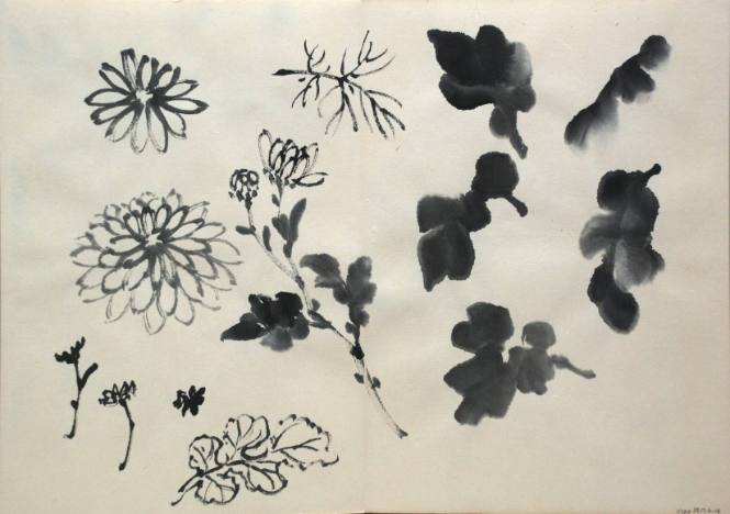 Flower Studies