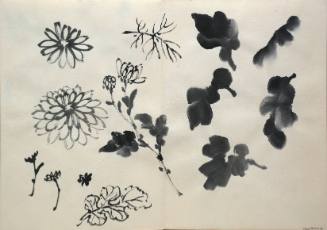 Flower Studies