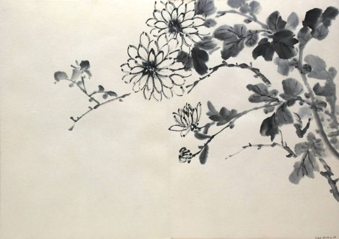 Flower Studies