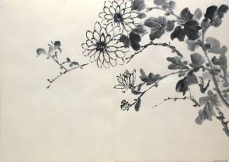 Flower Studies