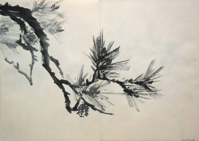 Pine Branch