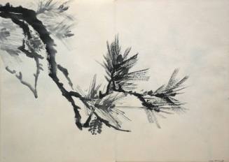 Pine Branch