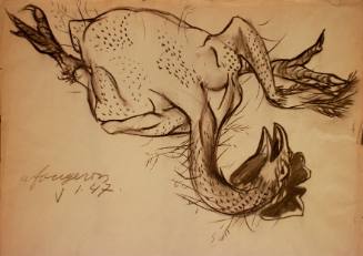 Untitled (Plucked chicken)