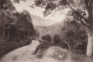 A Country Road in English Lake Country