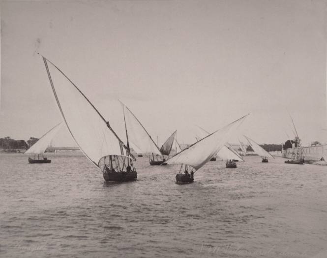 Arab Sailboats on the Nile