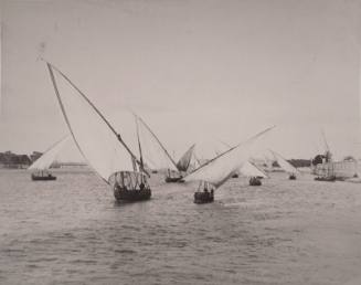 Arab Sailboats on the Nile