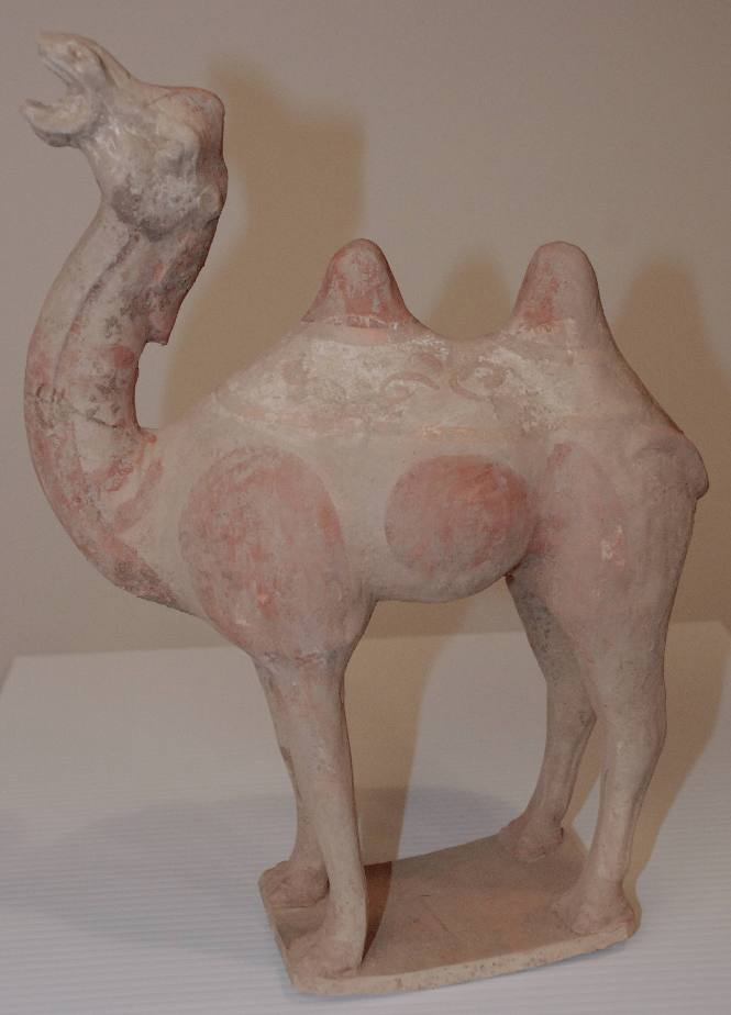 Small Bactrian Camel
