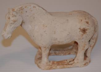 Small Horse