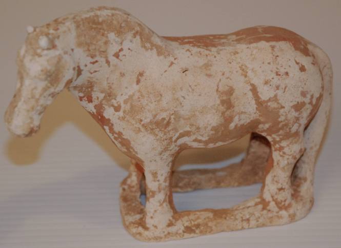 Small Horse