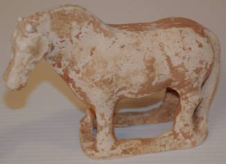 Small Horse