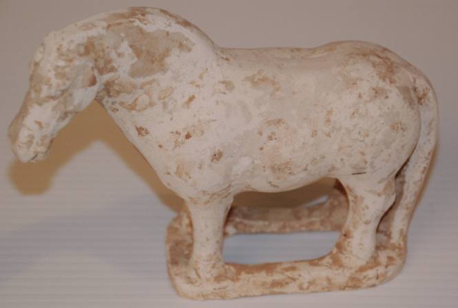 Small Horse